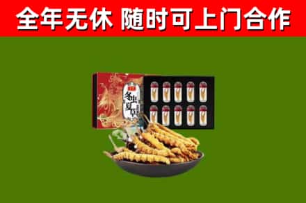 德格县回收冬虫夏草价格