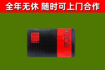 德格县回收阿胶